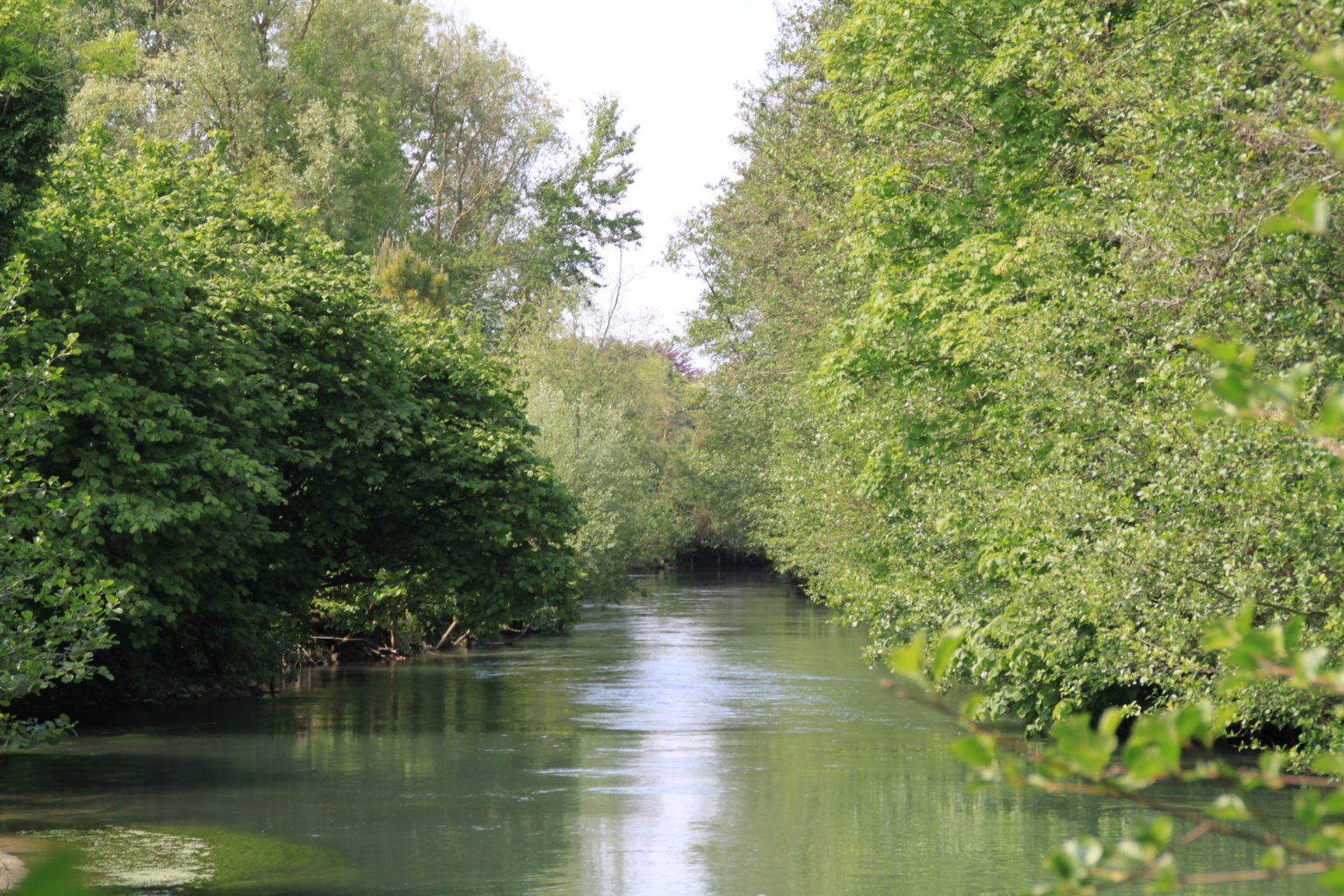 Canoë kayak Paddle activités à Beaurainville Hesdin Montreuil sur mer